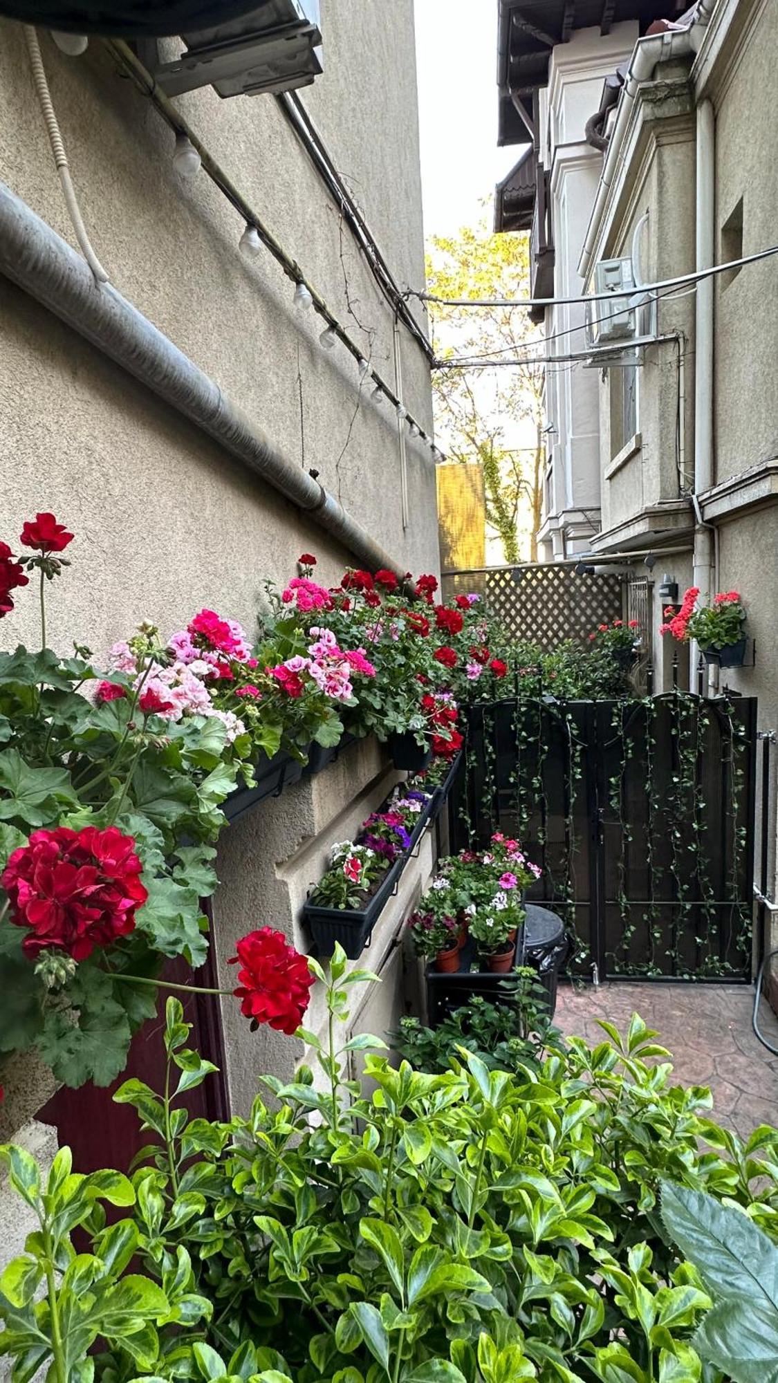 Casa De Povesti - Calea Victoriei Διαμέρισμα Βουκουρέστι Εξωτερικό φωτογραφία